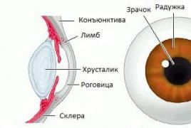 Склеры глаз Что такое склеры